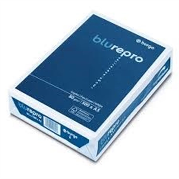 BUR8653